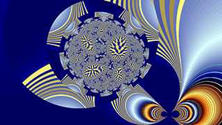 BVRC0653